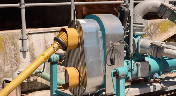 Informazioni sul distributore